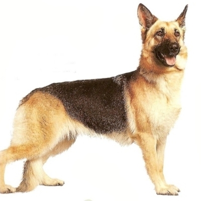 Timeline: Jayon's timeline