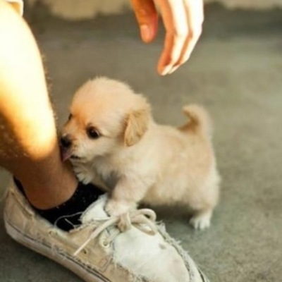 Timeline: High school in 8 photos