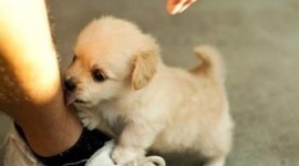 Timeline: High school in 8 photos