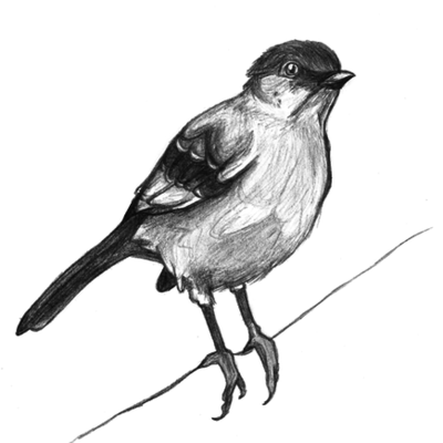 Timeline: To Kill A Mockingbird