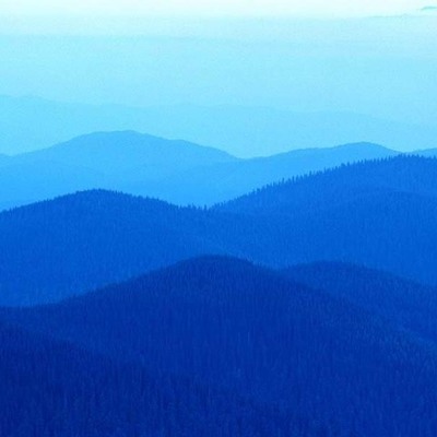 Timeline: Vita di adnane