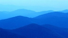 Timeline: Vita di adnane