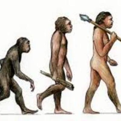 Timeline: linea del tempo