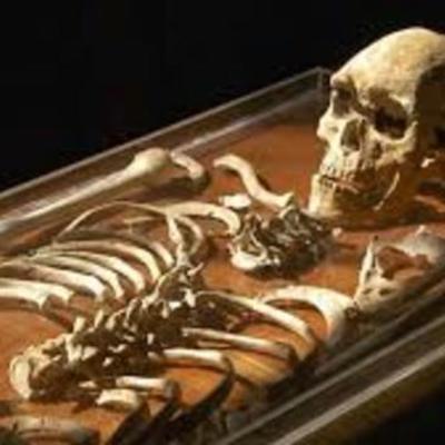 Timeline: The Narrabeen Man - Sam Bailey