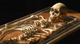 Timeline: The Narrabeen Man - Sam Bailey