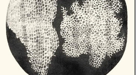 Timeline: Història de la cèl·lula