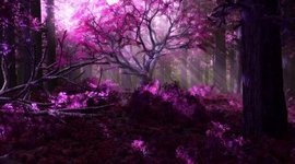 Timeline: My lifetime