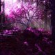 1085329  purple forest p