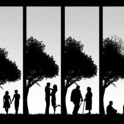 Timeline: Les etapes de la vida