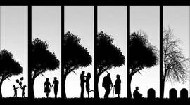 Timeline: Les etapes de la vida