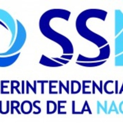 Timeline: Datos Historicos de la Actividad Aseguradora en Argentina