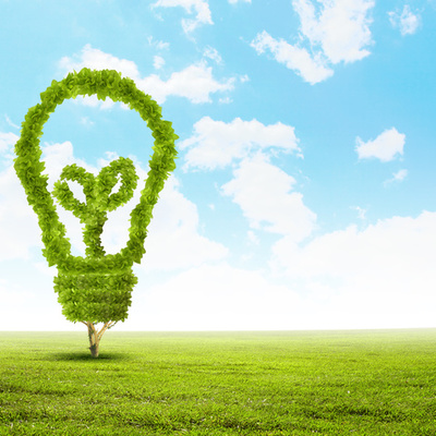 Timeline: Educación ambiental para la sustentabilidad