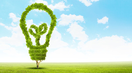 Timeline: Educación ambiental para la sustentabilidad