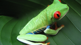 Timeline: mi yo tecnologico