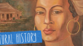 Timeline: History of Multicultural Education