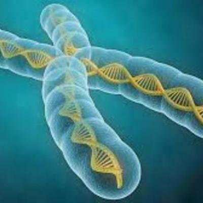 Timeline: PROYECTO GENOMA HUMANO