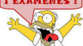 Timeline: Examenes