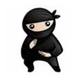 Ninja