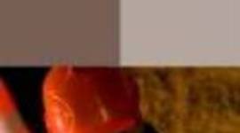 Timeline: Timeline of Hera Group