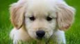 Timeline: Melissa TimeLine