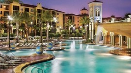 Timeline: brandon timeline