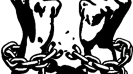 Timeline: La Historia de Los Derechos Humanos Por Carlos Andres Ardila Buritica