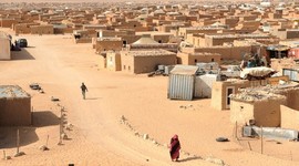 Timeline: Colonialismo en Sahara