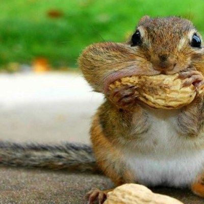 Timeline: Body Farm - Daniela Mirabal (Osteologist), Tyler Stroud (Meteorologist), Joseph Tanner (Entomologist)