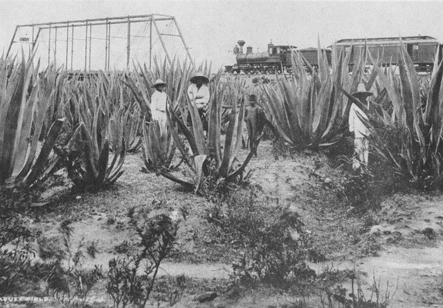 Marco Histórico del Derecho Agrario (Documentos, Leyes y