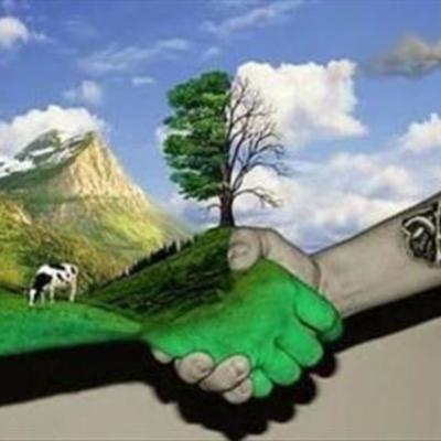 Timeline: Implementación de tecnologías ambientales