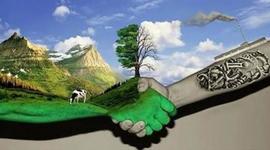 Timeline: Implementación de tecnologías ambientales