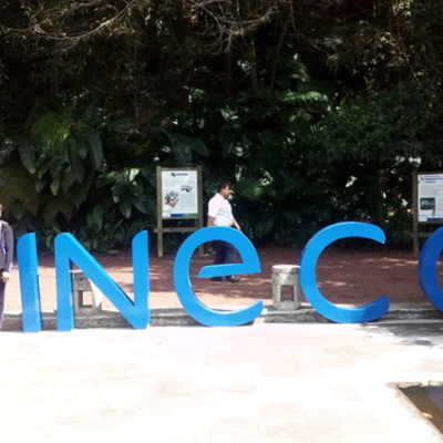 Timeline: Leticia Gonzalez Vazquez