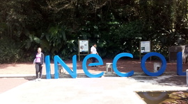 Timeline: Leticia Gonzalez Vazquez