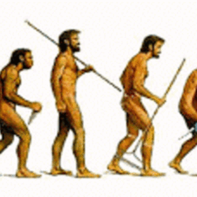Timeline: Evolución humana.