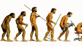 Timeline: Evolución humana.