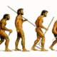 Evolucion humana