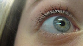 Timeline: My Life: Kelsey Cicerone