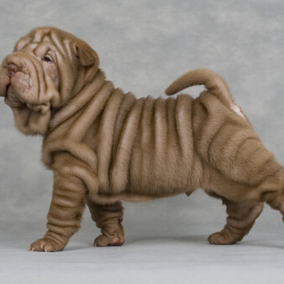 Timeline: fechas patrias