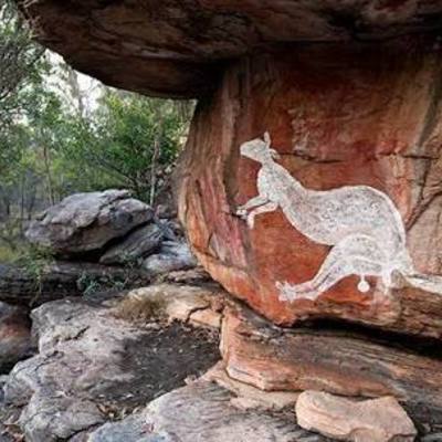 Timeline: Rachel Bardney History Timeline