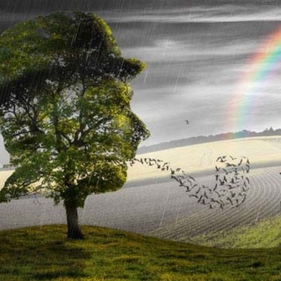 Timeline: Momentos Importantes