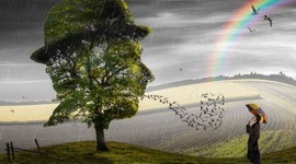 Timeline: Momentos Importantes