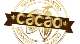 Timeline: Clúster Cacao de Antioquia
