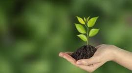 Timeline: Dia de la tierra