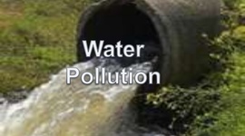 Timeline: Troubled Waters (Environmental Health) Lesson Plans Type I Enrichment: General Exploratory Experiences