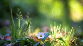 Timeline: Cambios curriculares y teorías del aprendizaje