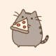 20110922 pusheen pizza primary thumb 625xauto 188416