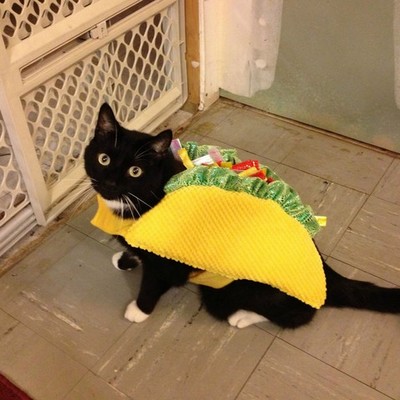 Timeline: middle age kings and queens