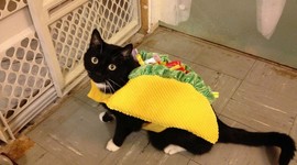 Timeline: middle age kings and queens