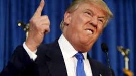 Timeline: skateboarding