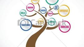 Timeline: Career and Educational Timeline